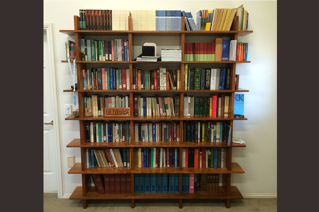 A Wall-Sized Bookcase – Luckensmeyer